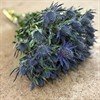 ERYNGIUM BLÅGRÖN BLUE LAGOON 50 CM